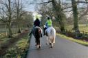 UK drivers have been told to be 'patient' when passing horses
