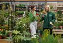 Dobbies' Garden Centre is offering free seeds as part of BBC Radio 2's 'Let It Grow' initiative