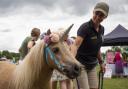Unicorns were the guests of honour at Melbourn Fete