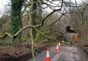 The impact of Storm Henk on a road in Hertfordshire.