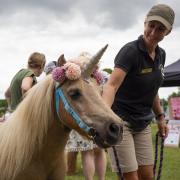 Unicorns were the guests of honour at Melbourn Fete