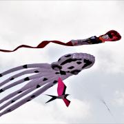 Kites flying above Therfield Heath at a previous Royston Kite Festival