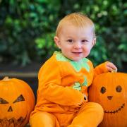 Dobbies in Royston is holding a Halloween 'Little Scare-lings' event