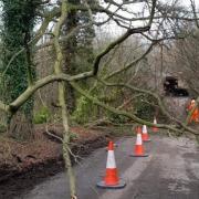 The impact of Storm Henk on a road in Hertfordshire.