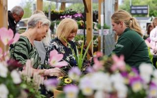 Dobbies is hosting the free session in May