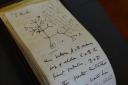 One notebook contained Charles Darwin's famous 1837 Tree of Life sketch, which sets out the theory of evolution