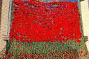 The display of poppies at Melbourn Springs Care Home
