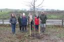 Friends of Therfield Heath and Greens planted trees for the Queen's Green Canopy project