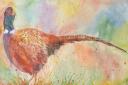 'Ever-Vigilant Pheasant' by Sarah-Marie Clee