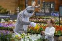 There'll be a special guest appearance from Dobbies’ Easter Bunny