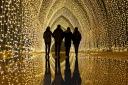 The Christmas Cathedral tunnel of light at Wimpole Estate
