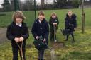 Tannery Drift pupils planted two trees in memory of the Queen
