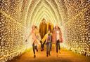 Cathedral of Light by Mandylights on My Christmas Trails 2020.
