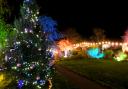Garden House Hospice Care's Lights of Life Festival was held over the weekend for people to remember lost loved ones
