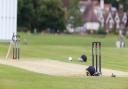 Reed Cricket Club U11s have enjoyed a perfect start to the Herts Junior League.