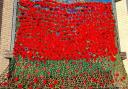 The display of poppies at Melbourn Springs Care Home