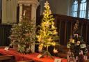 Christmas trees by Steeple Morden Primary Year 6 and Mordens 6th Royston Scout Group at Steeple Morden Christmas Tree Festival