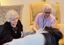 Therapy ponies Charlie and Romeo visited Southwell Court care home in Melbourn