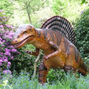 One of the 72 life-size dinosaurs in the Wilderness Gardens at Knebworth House. Picture: Knebworth Estate