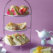 Dobbies in Royston is hosting an afternoon tea to celebrate the Queen's Platinum Jubilee