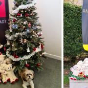 The military children’s charity  Little Troopers has partnered with the Build-A-Bear Foundation to distribute more than 2,000 free teddy bears to military families, including those in Bassingbourn, as part of its Christmas Smiles campaign.