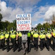 Police and Protesters clash at MBR Acres Camp Beagle where beagles are reared for vivisection., MBR Acres, Huntingdon Sunday 15 August 2021. Picture by Terry Harris.