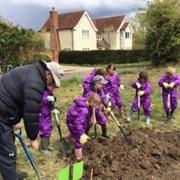 Children from Barley Barkway First Schools Federation have been enjoying their allotment