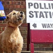 May 6th is polling day across Cambridgeshire and Peterborough. Returning officers for both have issued guidance to ensure you can vote in a Covid-safe way.