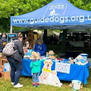 The Guide Dogs stall at this year's Barkway Village Market
