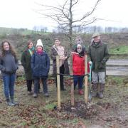 Friends of Therfield Heath and Greens planted trees for the Queen's Green Canopy project