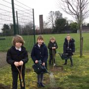 Tannery Drift pupils planted two trees in memory of the Queen