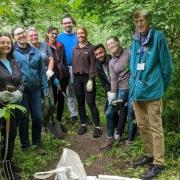 Volunteers removed cow parsley from Stile Plantation in Royston