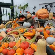 Wimpole Estate is celebrating the harvest season with Harv'Fest