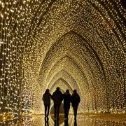 The Christmas Cathedral tunnel of light at Wimpole Estate