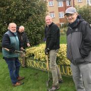 Rotarians planted crocuses at Royston Golf Club to support the End Polio Now campaign