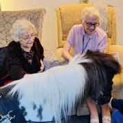 Therapy ponies Charlie and Romeo visited Southwell Court care home in Melbourn
