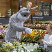 There'll be a special guest appearance from Dobbies’ Easter Bunny