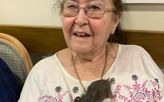 Melbourn Springs Care Home residents met therapy animals